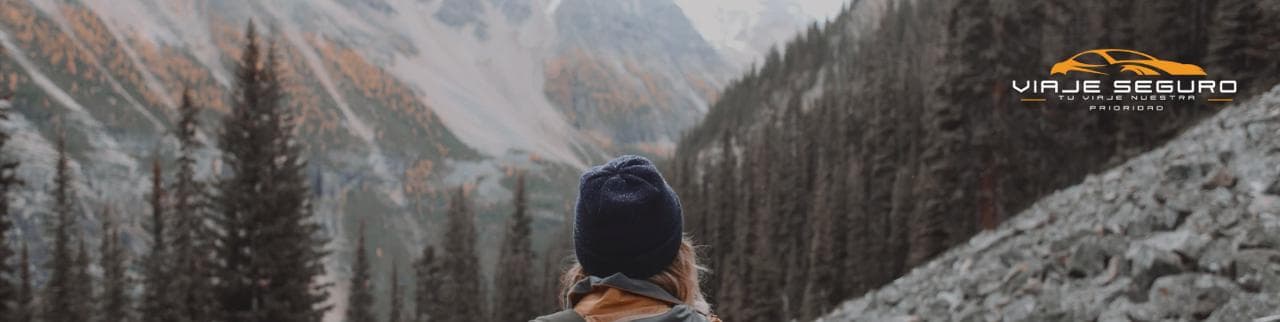 Grupo de pasajeros disfrutando de un coche compartido ViajeSeguro